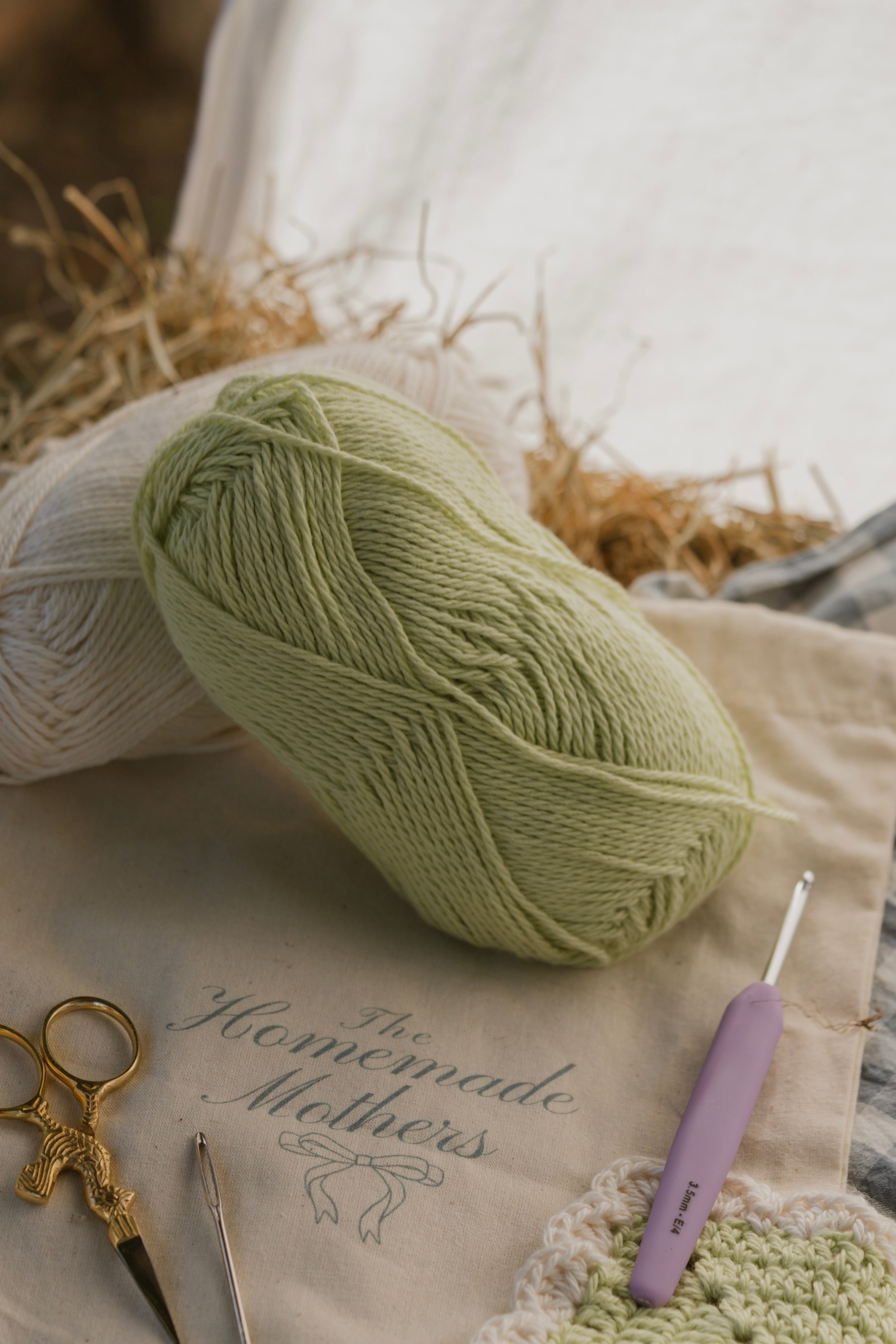 Beginner Crochet Starter Kit - Melon